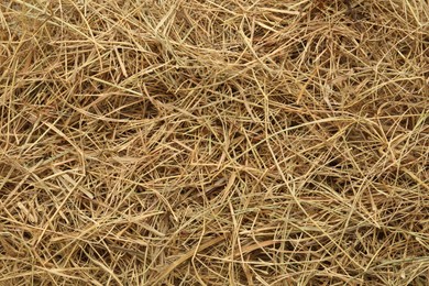 Photo of Closeup of dried hay as background, top view