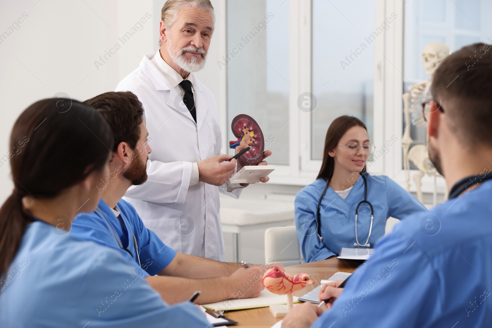 Photo of Doctor giving lecture for interns in university