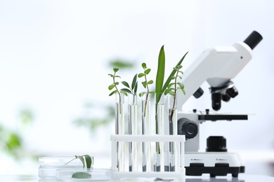Laboratory glassware with different plants and microscope on table against blurred background, space for text. Chemistry research