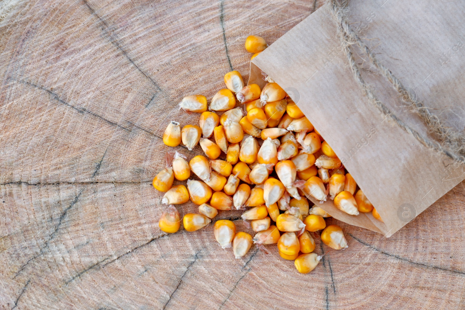 Photo of Paper bag with corn seeds on wooden background, top view. Vegetable planting