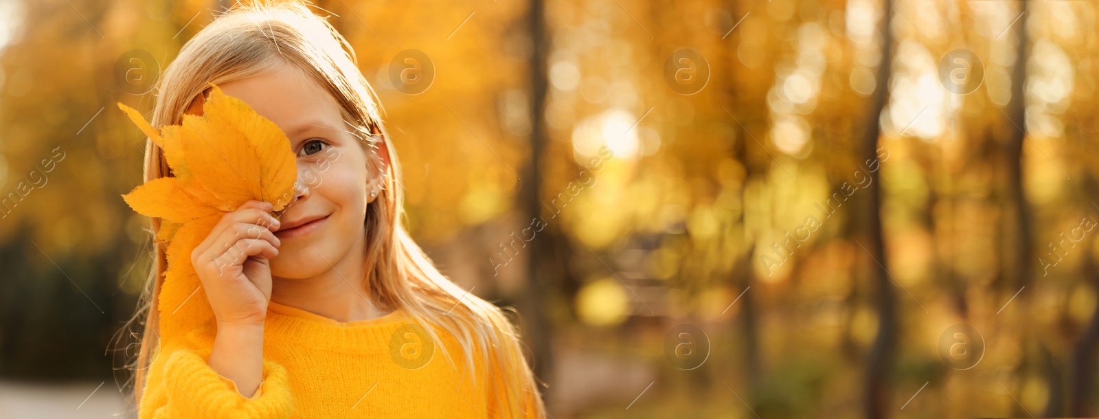 Image of Autumn walk. Cute little girl with leaves in sunny park, space for text. Banner design