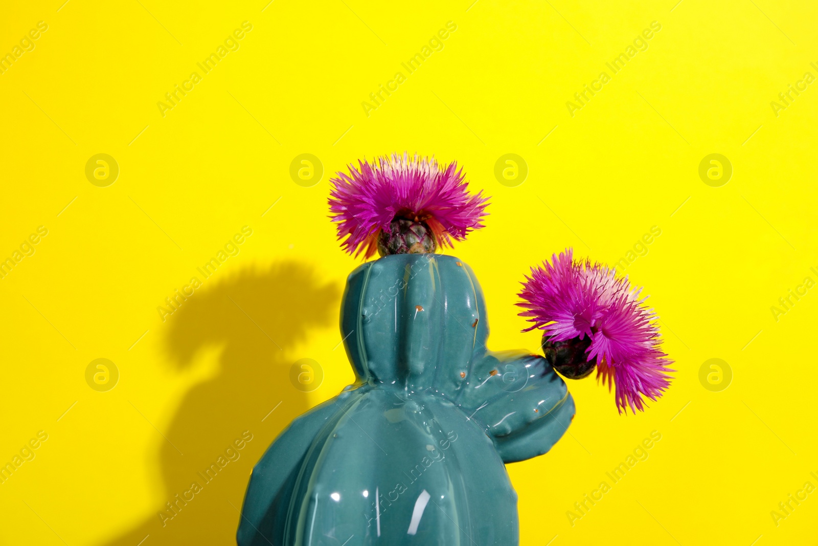 Photo of Trendy cactus shaped ceramic vase with flowers on color background