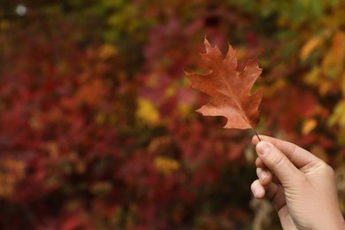 Woman holding beautiful dry leaf outdoors, closeup with space for text. Autumn season