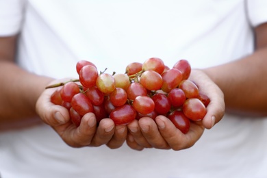 Photo of Man holding bunch of fresh ripe juicy grapes, closeup