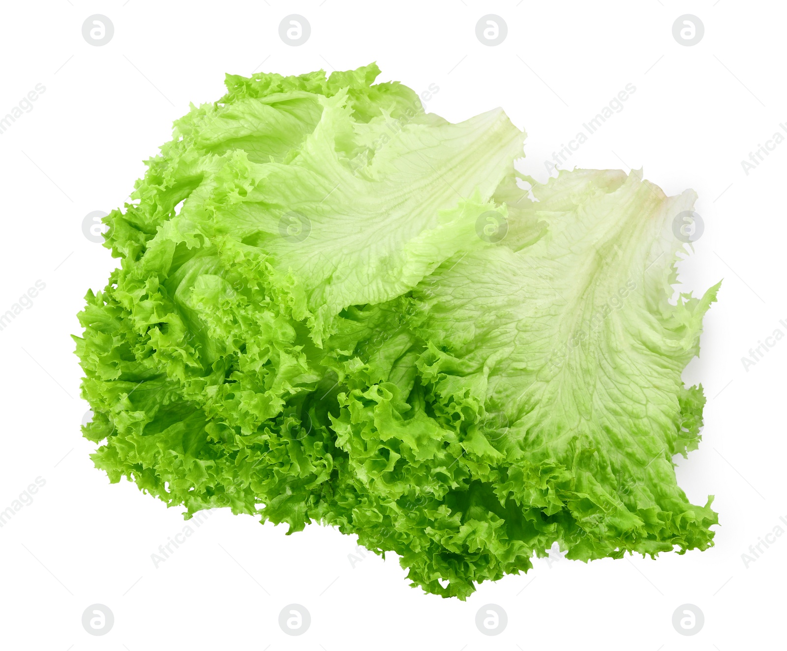 Photo of Fresh green lettuce leaves isolated on white