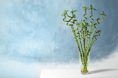 Photo of Table with bamboo plant in glass vase near color wall. Space for text