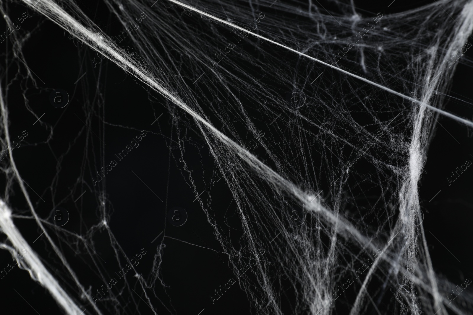 Photo of Creepy white cobweb on black background, closeup