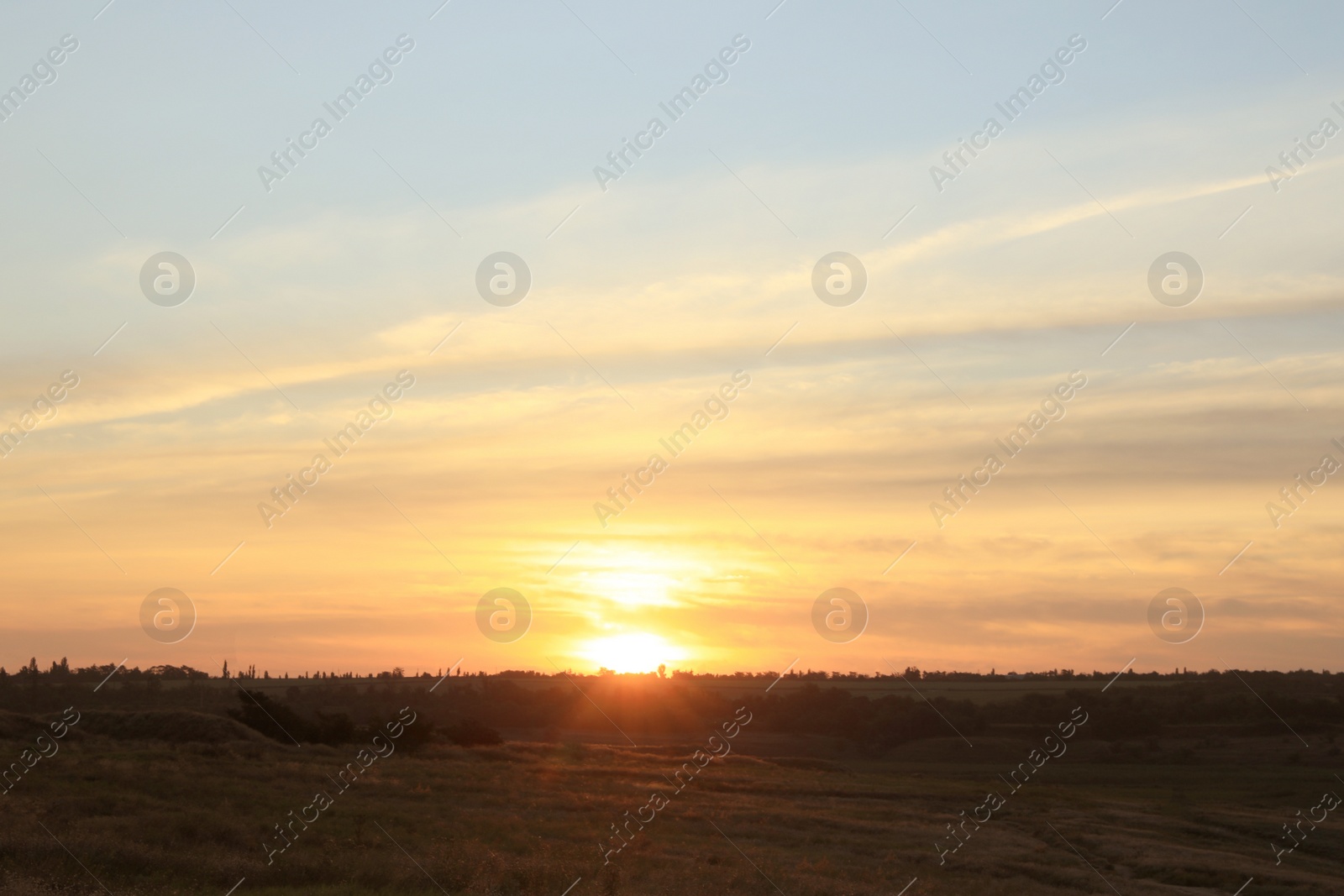 Photo of Picturesque view of beautiful countryside sunrise. Early morning landscape