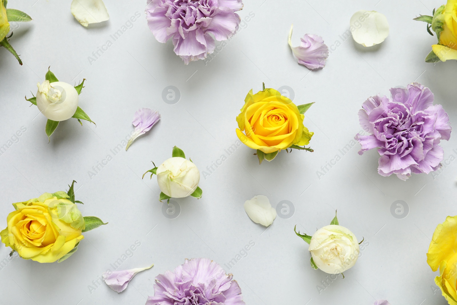 Photo of Flat lay composition with beautiful blooming flowers on grey background