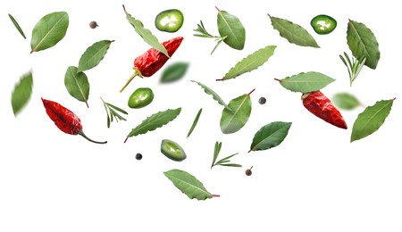 Image of Bay leaves, rosemary, fresh green, dry red and black pepper flying on white background