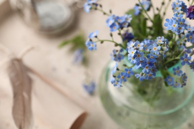 Beautiful Forget-me-not flowers in vase, closeup view