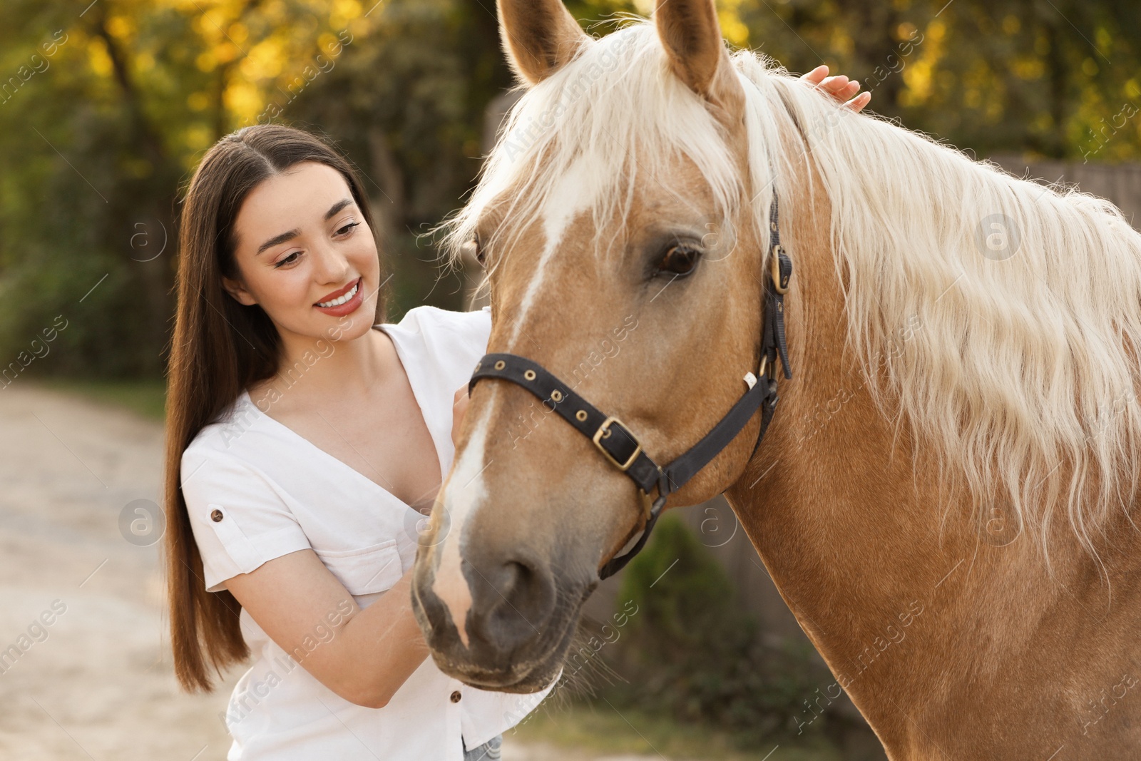 Photo of Beautiful woman with adorable horse outdoors. Lovely domesticated pet