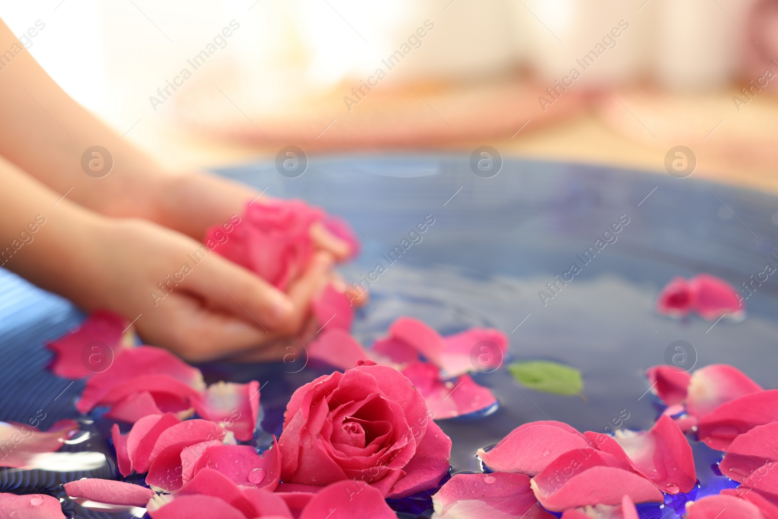 Photo of Child holding rose flower in bowl with water and petals on blurred background, closeup. Space for text