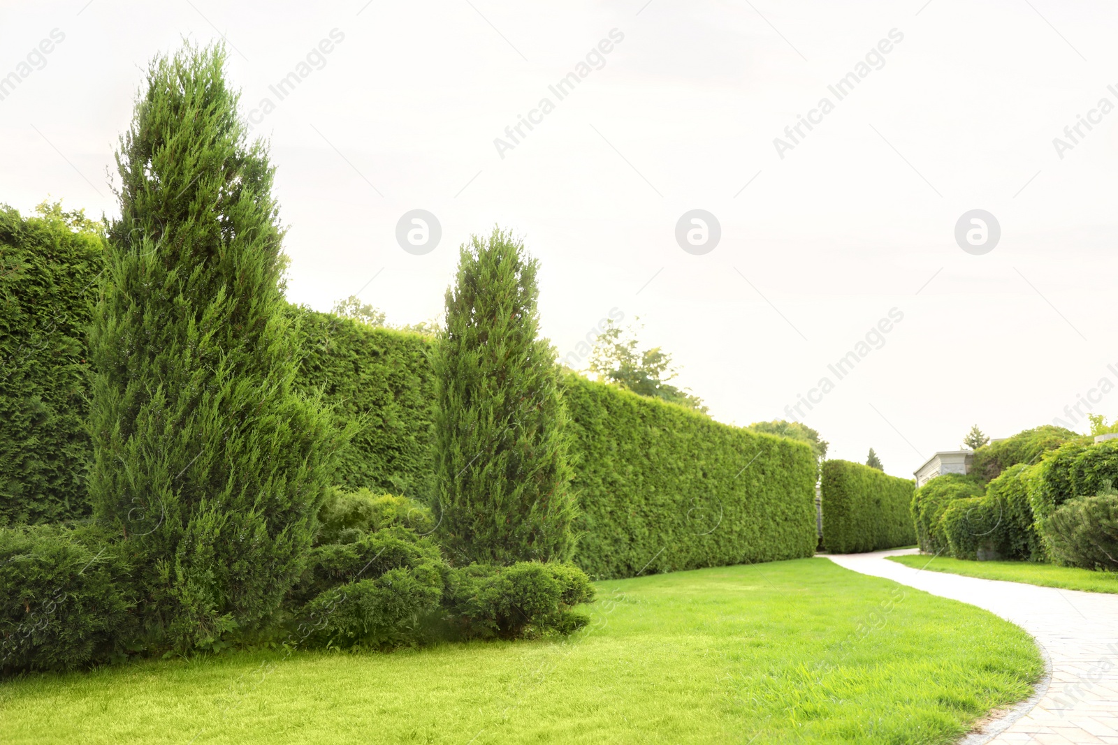 Photo of Picturesque landscape with brick path on sunny day. Gardening idea