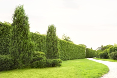 Picturesque landscape with brick path on sunny day. Gardening idea