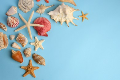 Photo of Beautiful starfishes, sea shells and stone on light blue background, flat lay. Space for text
