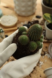 Photo of Woman with cactus at wooden table, closeup. Transplanting houseplants