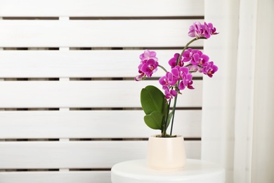 Photo of Flowerpot with blooming orchid on table indoors, space for text