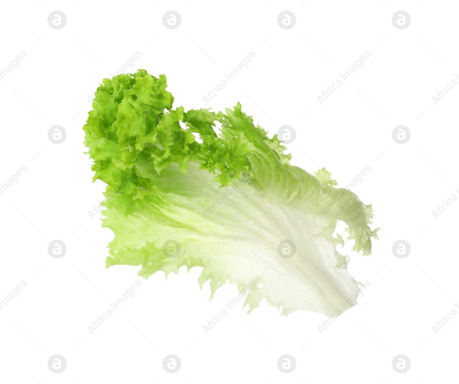 Photo of Fresh green lettuce leaf isolated on white