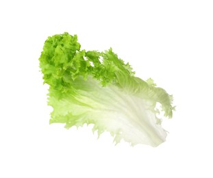 Fresh green lettuce leaf isolated on white