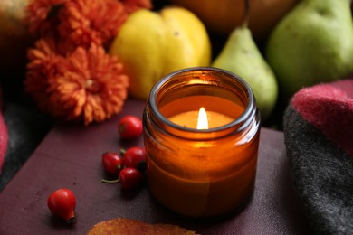 Photo of Burning scented candle and rosehip berries on book. Autumn still life