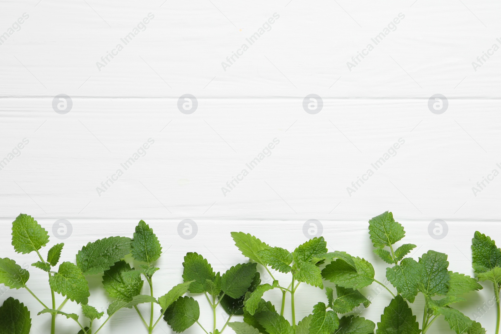 Photo of Fresh lemon balm on white wooden table, flat lay. Space for text