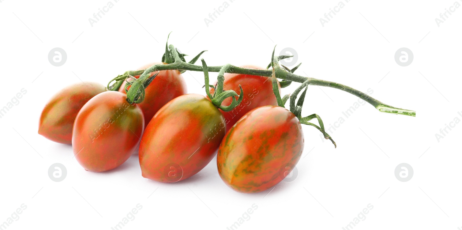 Photo of Branch of red grape tomatoes on white background