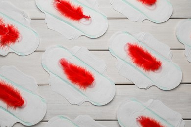 Menstrual pads with red feathers on white wooden background, flat lay