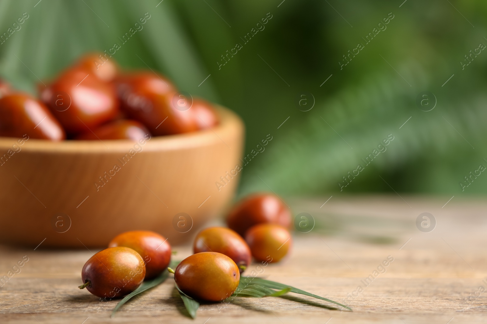 Photo of Fresh ripe oil palm fruits on wooden table, closeup. Space for text