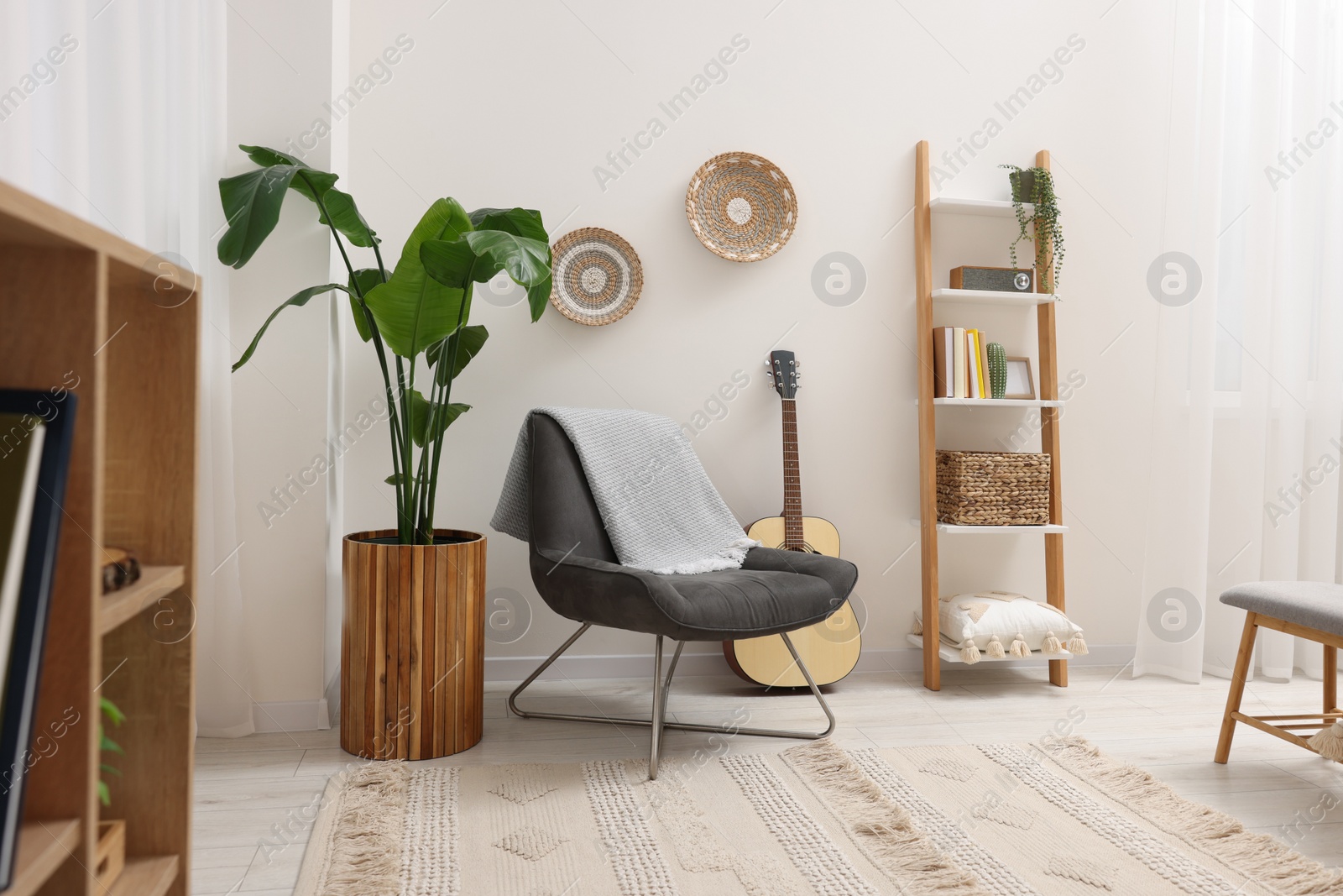 Photo of Spring atmosphere. Stylish room interior with comfortable chair, houseplant and shelving unit