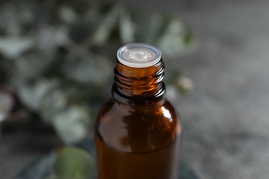 Photo of Bottle of eucalyptus essential oil against blurred background, closeup