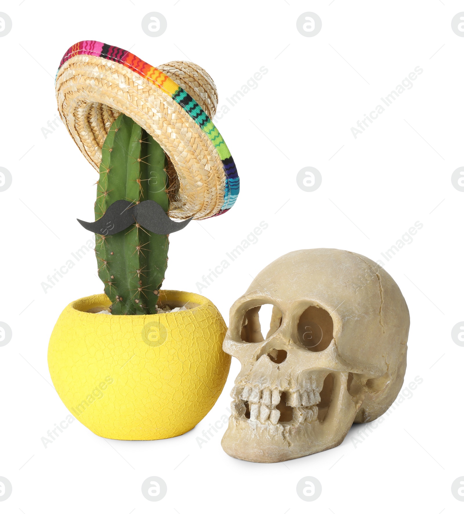 Photo of Cactus with Mexican sombrero hat, fake mustache and human scull isolated on white