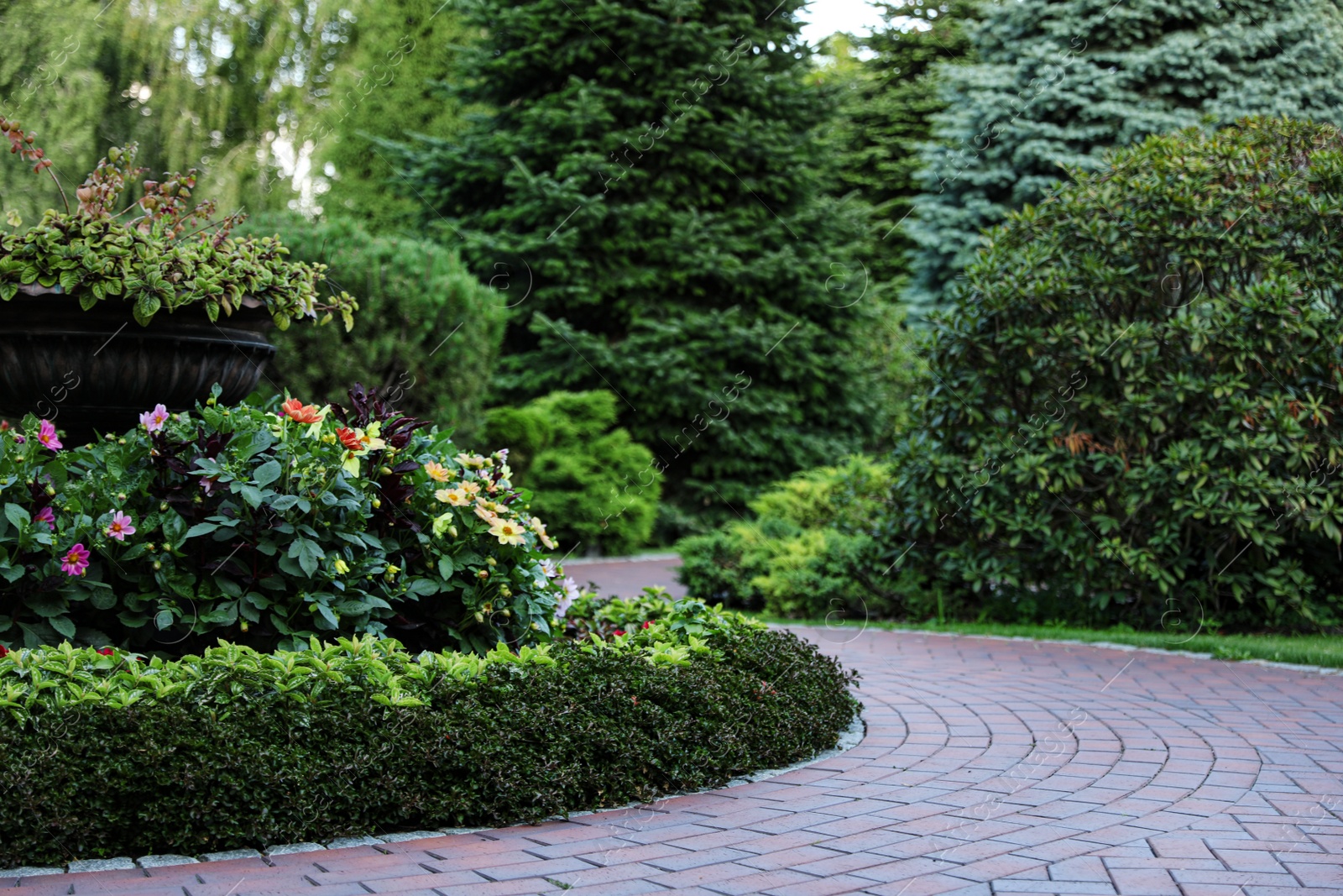 Photo of Beautiful flower bed in green garden on summer day