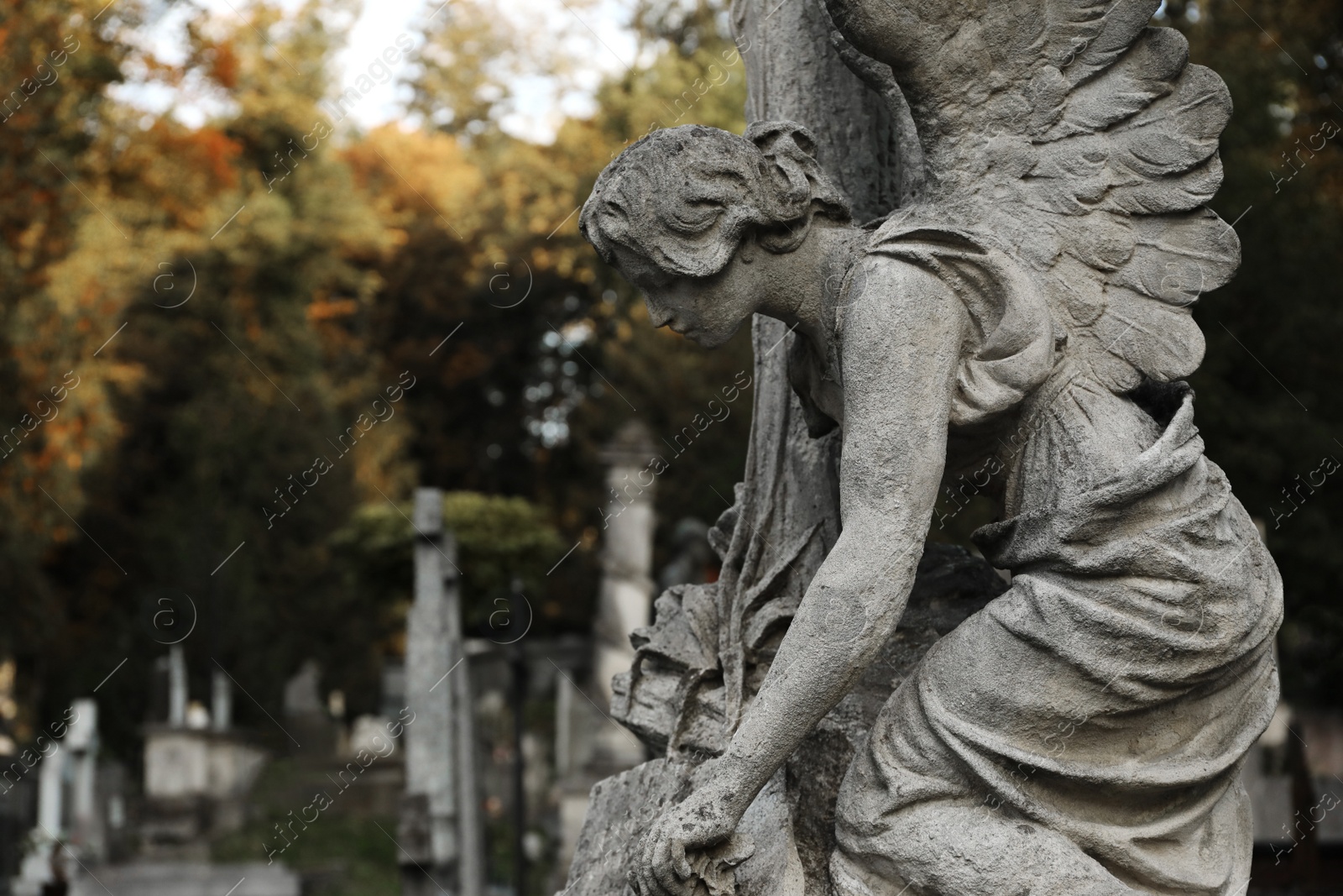 Photo of Beautiful statue of angel at cemetery, space for text. Funeral ceremony