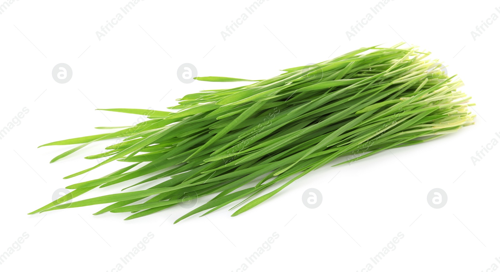 Photo of Green organic wheat grass on white background