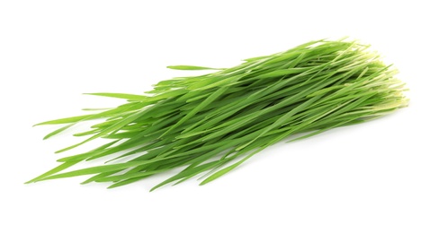 Green organic wheat grass on white background