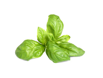 Photo of Fresh green basil leaves isolated on white