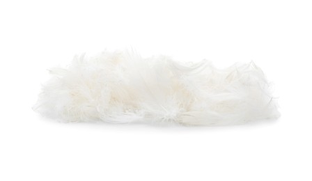 Photo of Pile of beautiful bird feathers isolated on white
