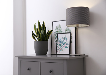 Houseplant and lamp on chest of drawers in modern room interior