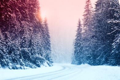 Image of Snowy road and conifer forest on winter day. Color tone 