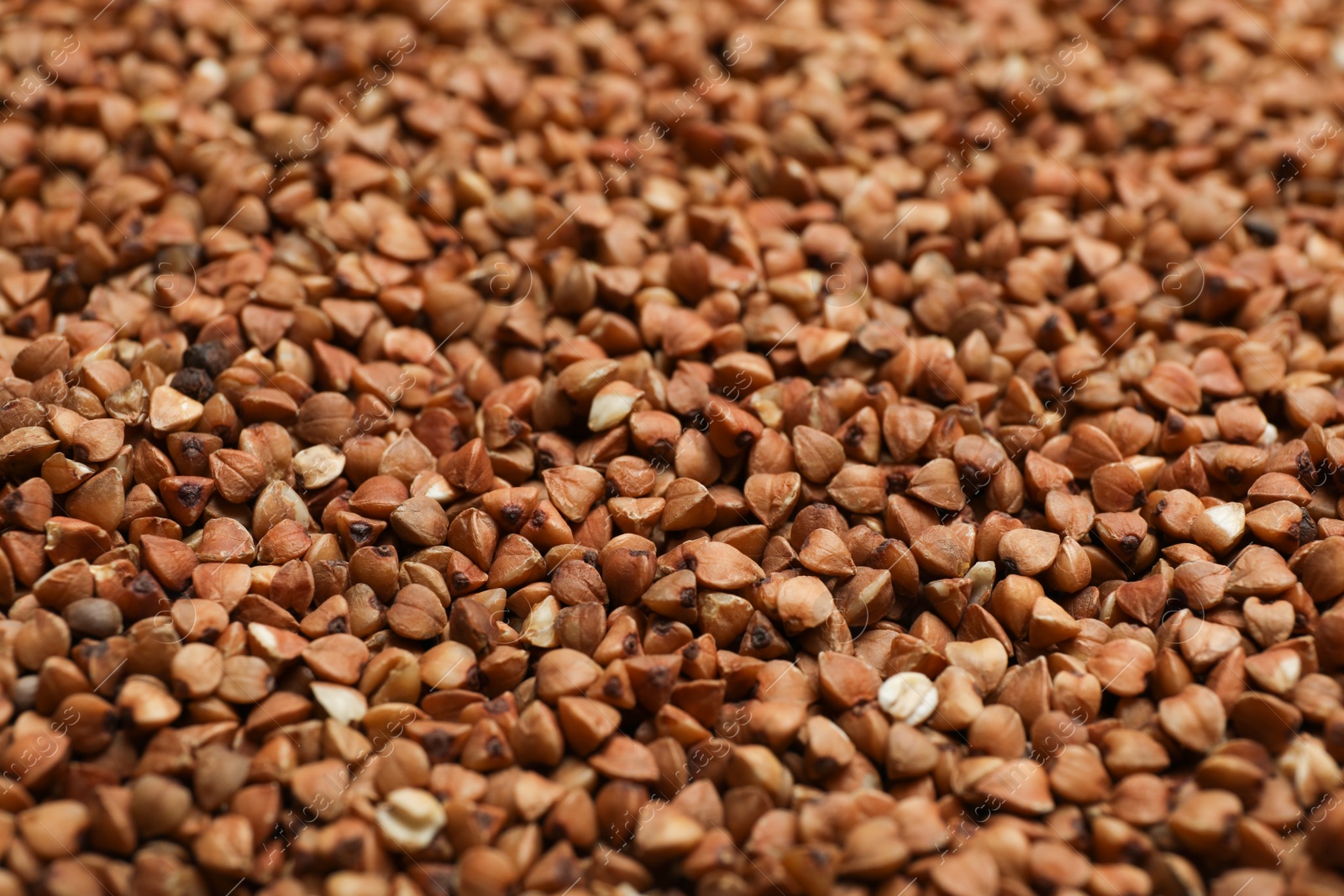 Photo of Uncooked organic buckwheat grains as background, closeup