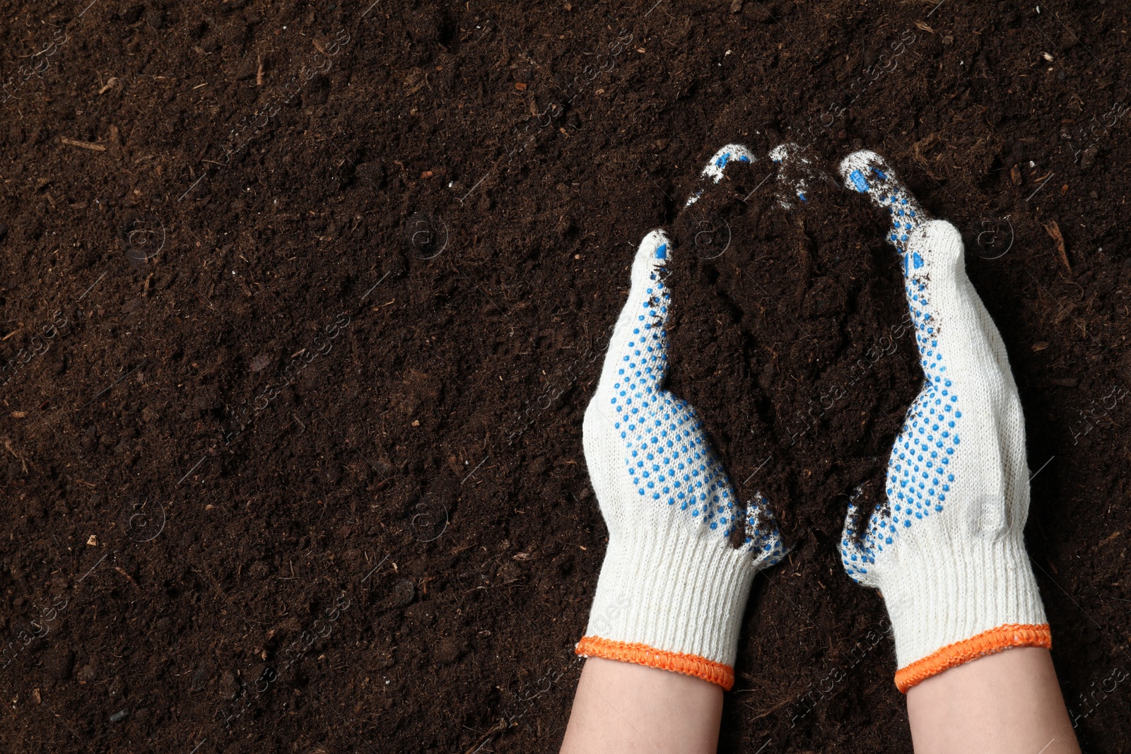 Photo of Woman holding fertile soil in hands, closeup with space for text. Gardening season