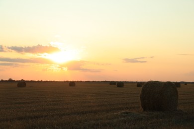 Photo of Beautiful view of agricultural field with hay bales at sunset