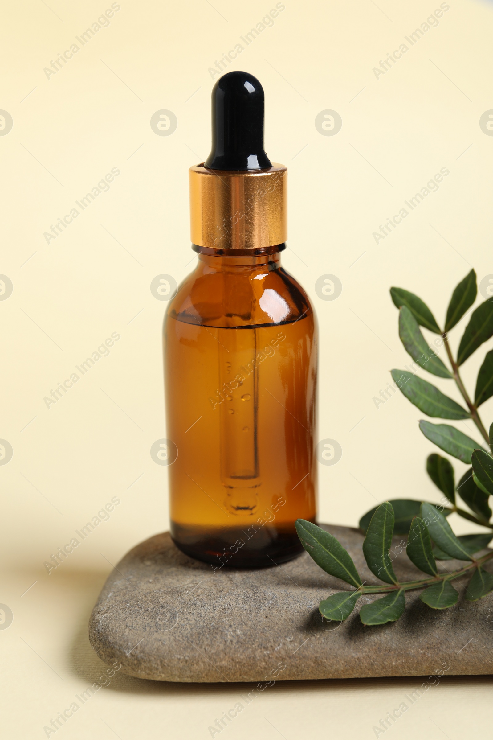 Photo of Bottle with cosmetic oil, stone and green leaves on beige background