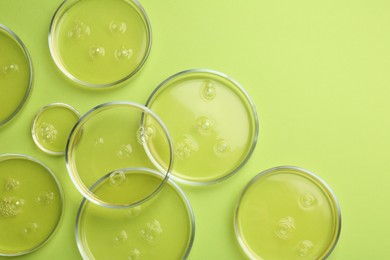 Photo of Petri dishes with liquid samples on green background, flat lay. Space for text
