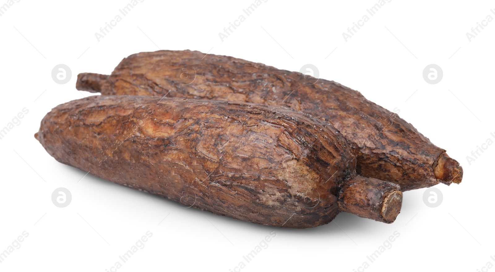 Photo of Two whole ripe cassava roots isolated on white