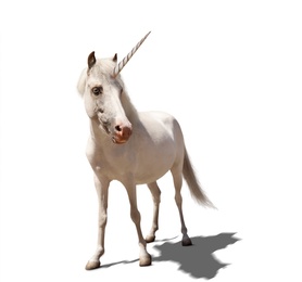 Image of Amazing unicorn with beautiful mane on white background