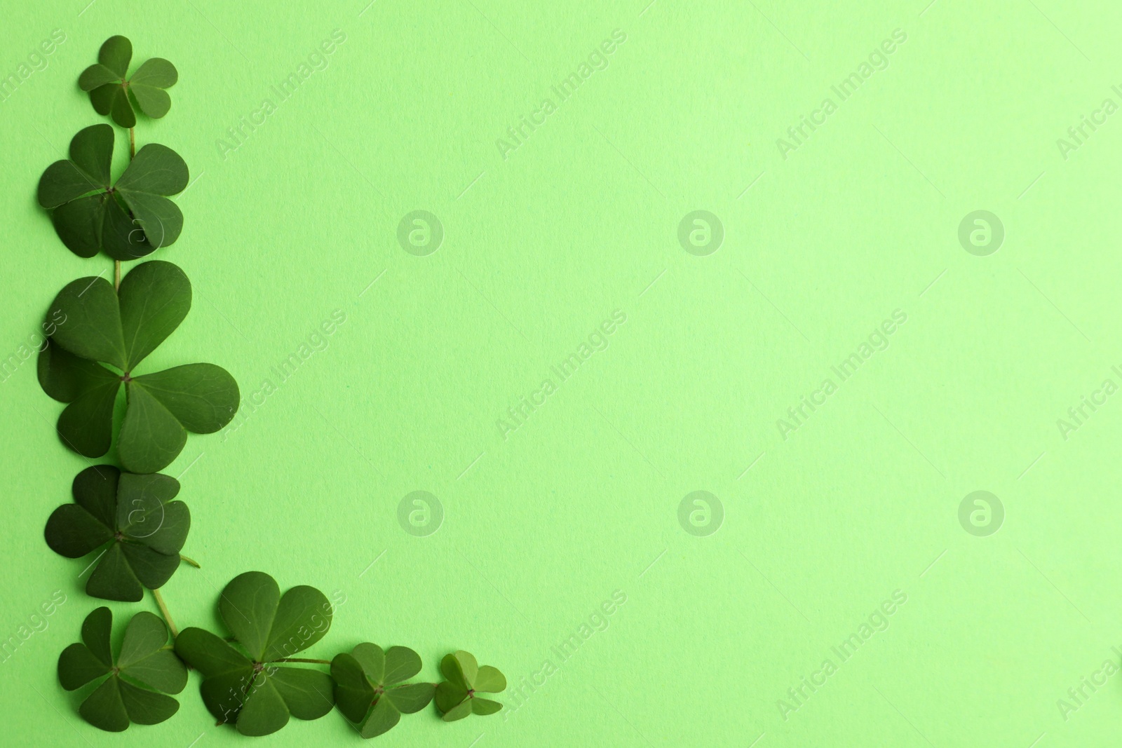 Photo of Clover leaves on green background, flat lay with space for text. St. Patrick's Day symbol