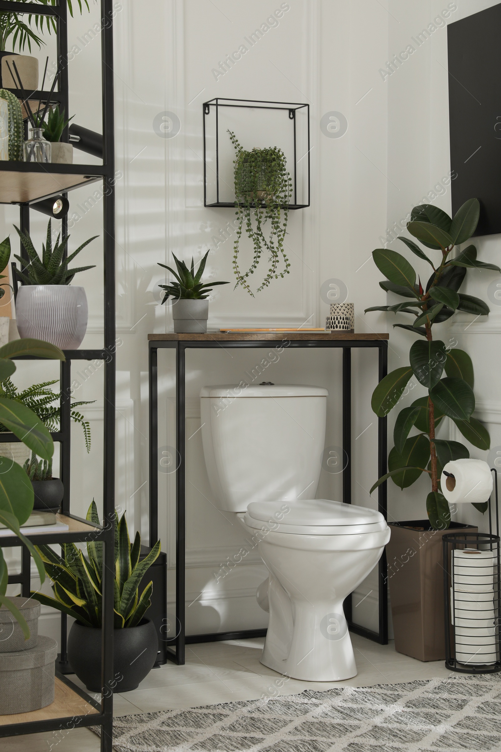 Photo of Stylish bathroom interior with toilet bowl and many beautiful houseplants