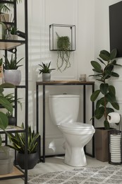 Stylish bathroom interior with toilet bowl and many beautiful houseplants